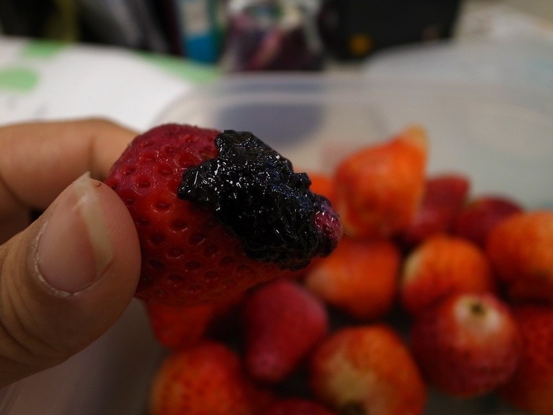 ������ݮ�������ݮ����������