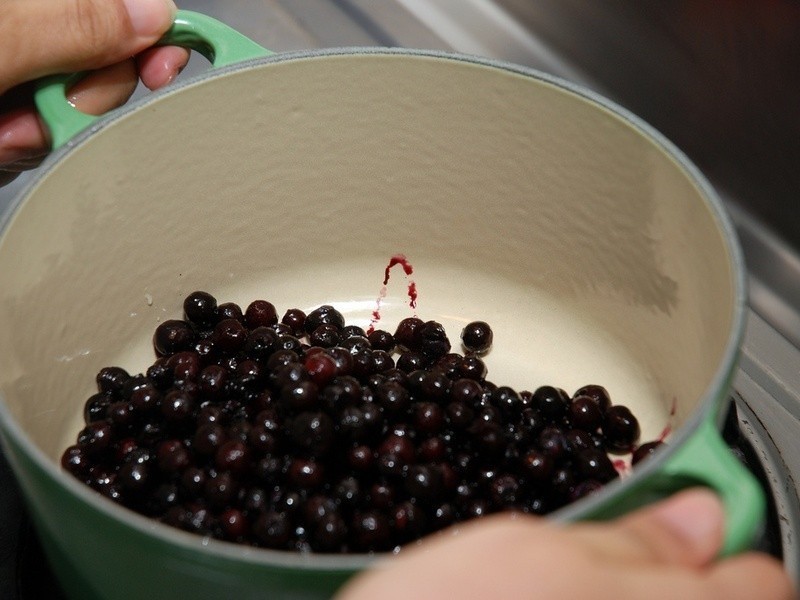 ������ݮ�������ݮ����������