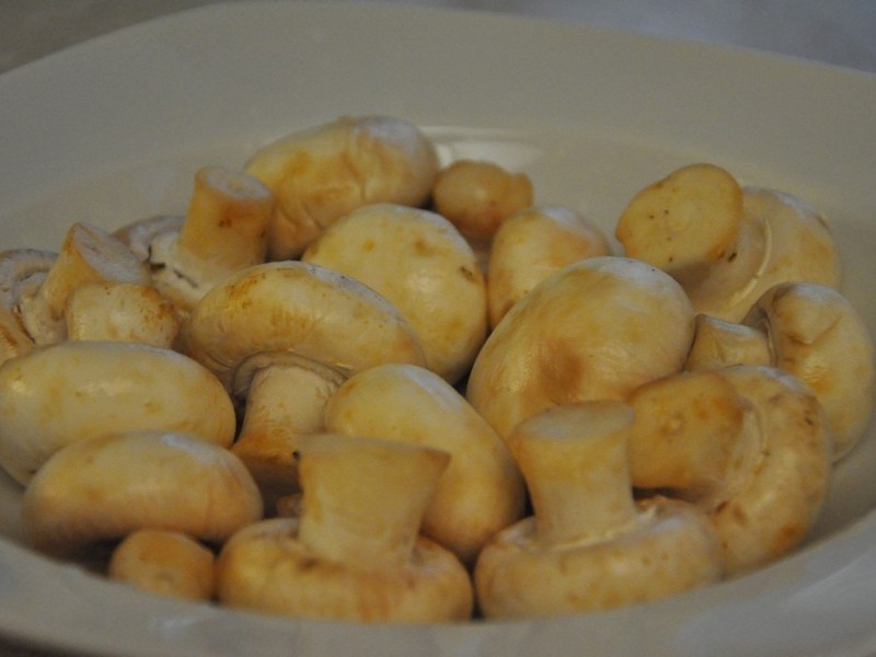 �����߲�ţ����������