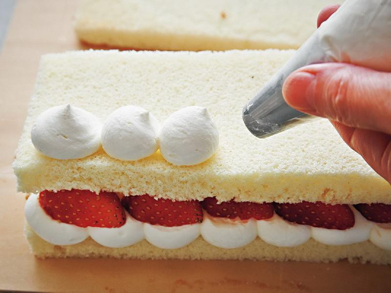 ��ݮţ�̵��������