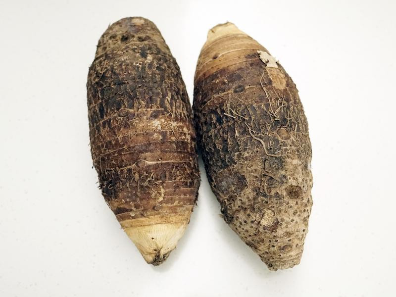 Q����Բ�ع�Բ������