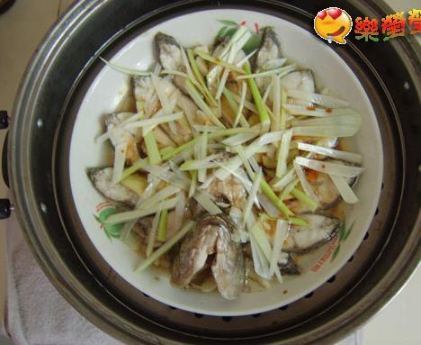 ���͸����������