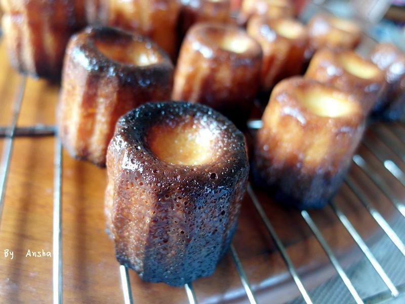 ��������¶������