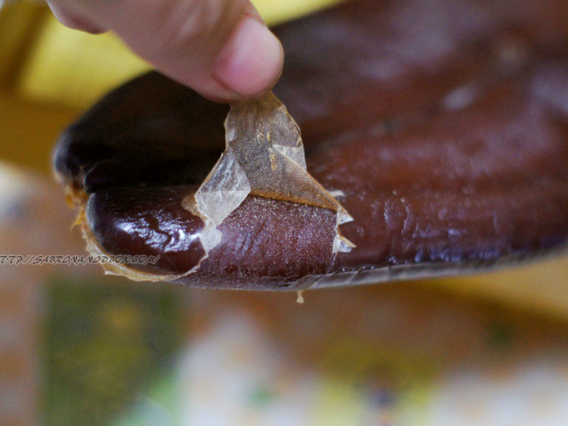 ������Ѫ����ƻ��������