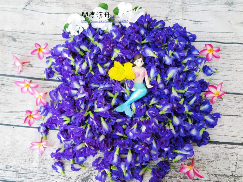 �������������ϵ�����