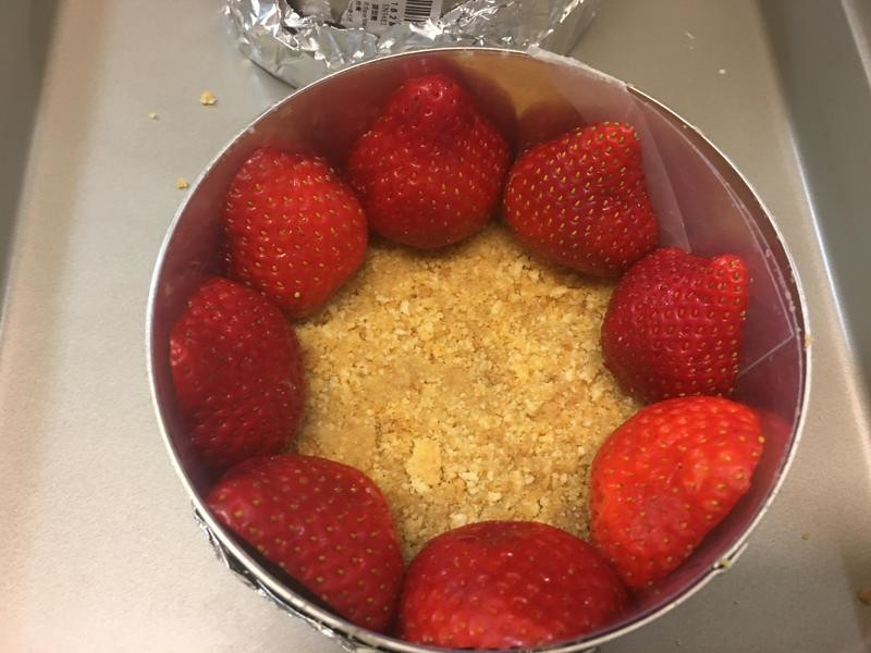 ��ݮ������Ľ˹������