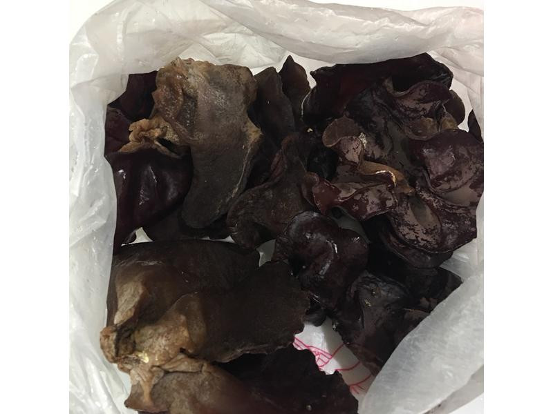 ����Ǻ�ľ��¶������