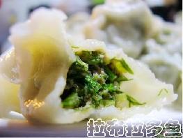 茴香饺子的做法