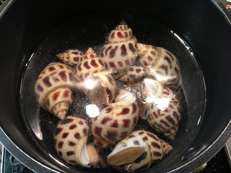 ���������ݵ�����