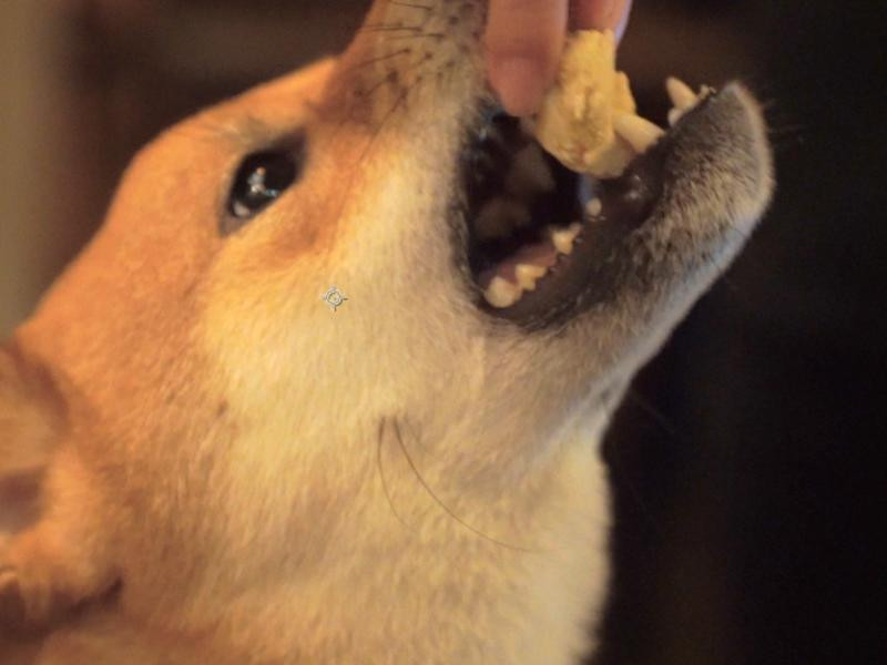 �����Ϲ��±�������