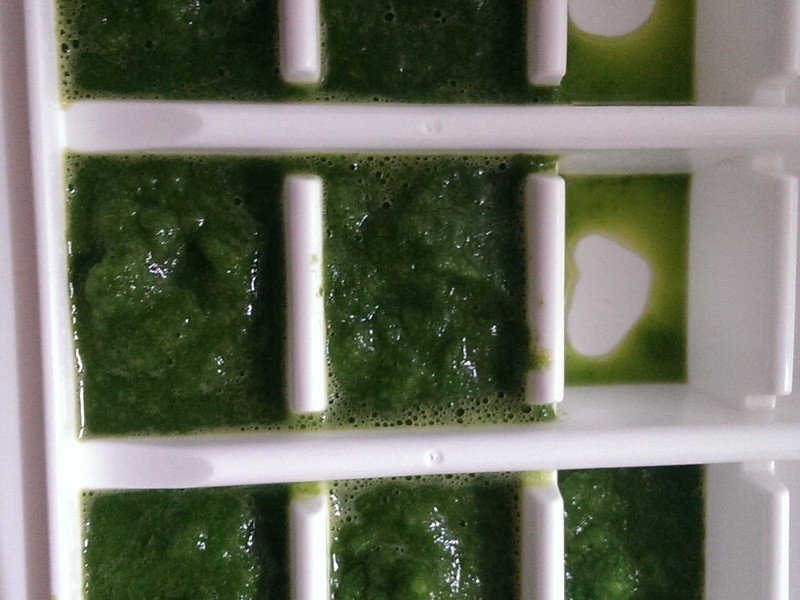 ���۱���6M��ʳƷ~�཭���������