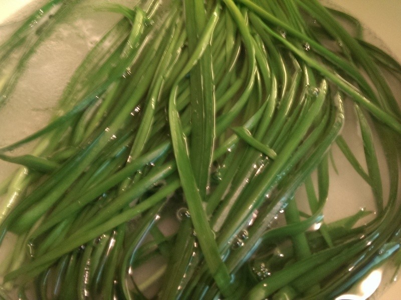 �²����渣��������