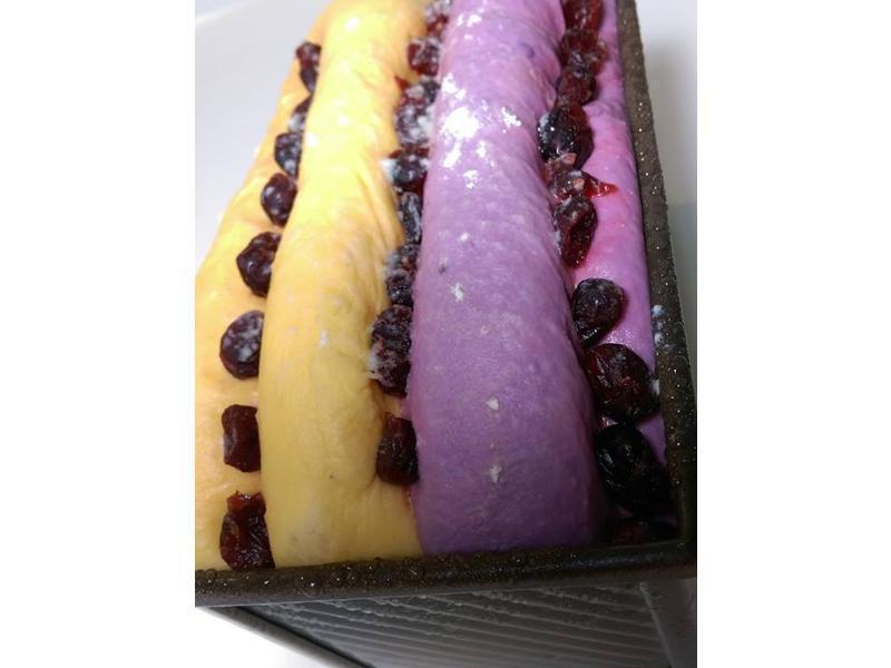 ˫ɫ�عϺ����Խݮ��˾������