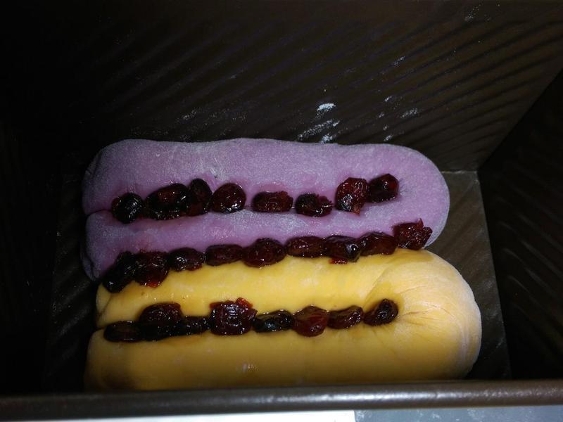 ˫ɫ�عϺ����Խݮ��˾������