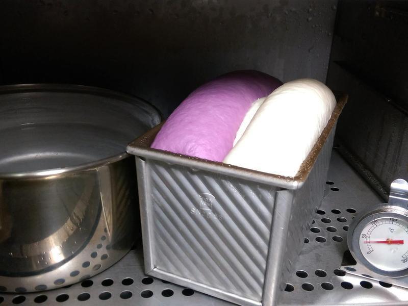 ˫ɫ�عϺ����Խݮ��˾������