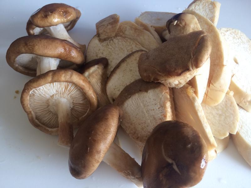 ��������~�������ӱ���������