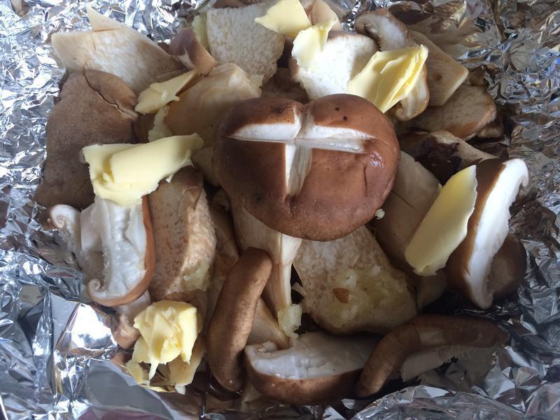 ��������~�������ӱ���������