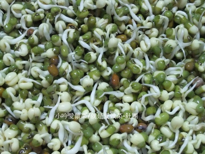 diy�̶�ѿ������