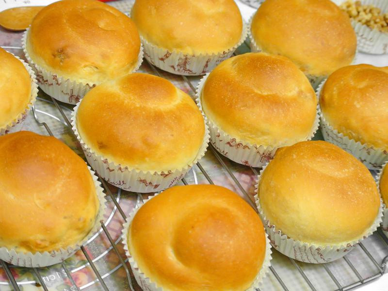 ��Բ�������������