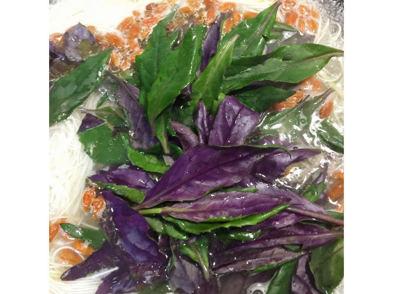 ��Ѫ���ͼ�������~~��ľ���������