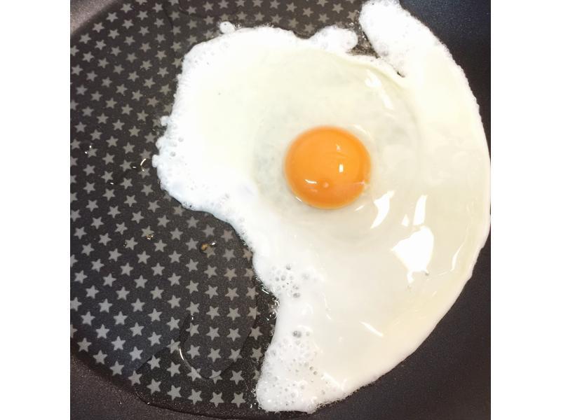 ��Ѫ���ͼ�������~~��ľ���������