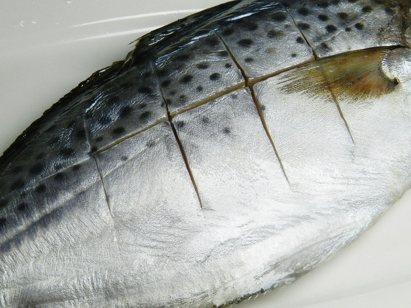 ��֭�����������