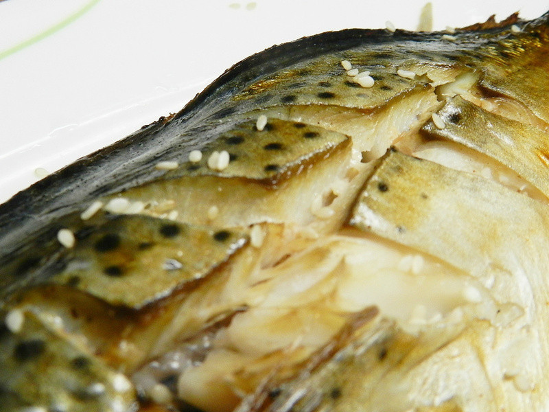 ��֭�����������