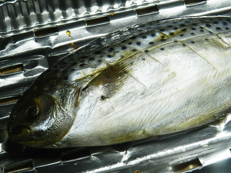 ��֭�����������