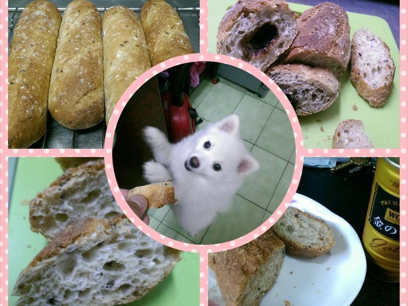 ����������������ԭζ���ɿ�����������