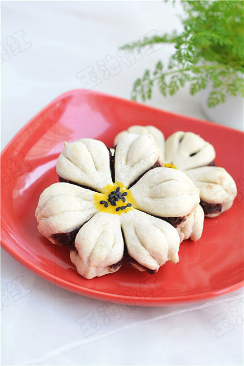 ������ɳ�֡������������ŵĻ��������