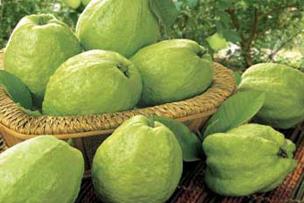 ����������-��ʯ���������