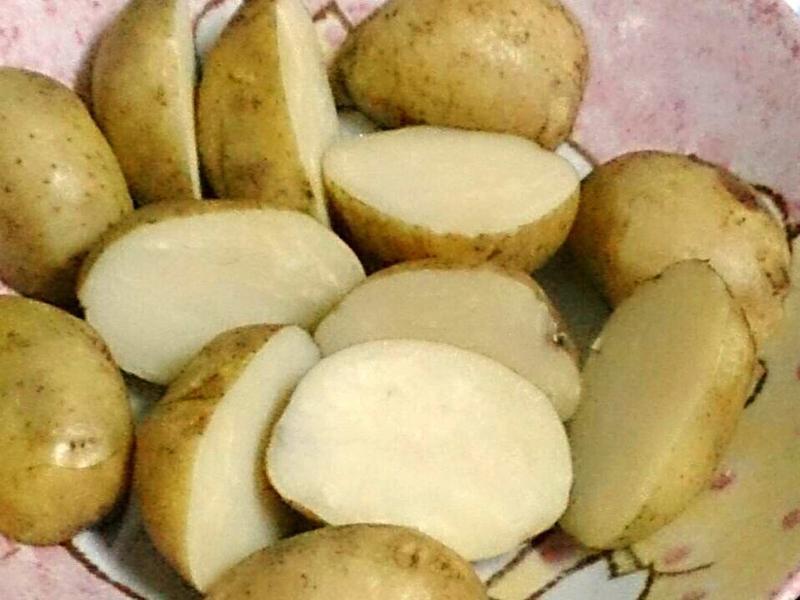 ���˼��ɳ��������