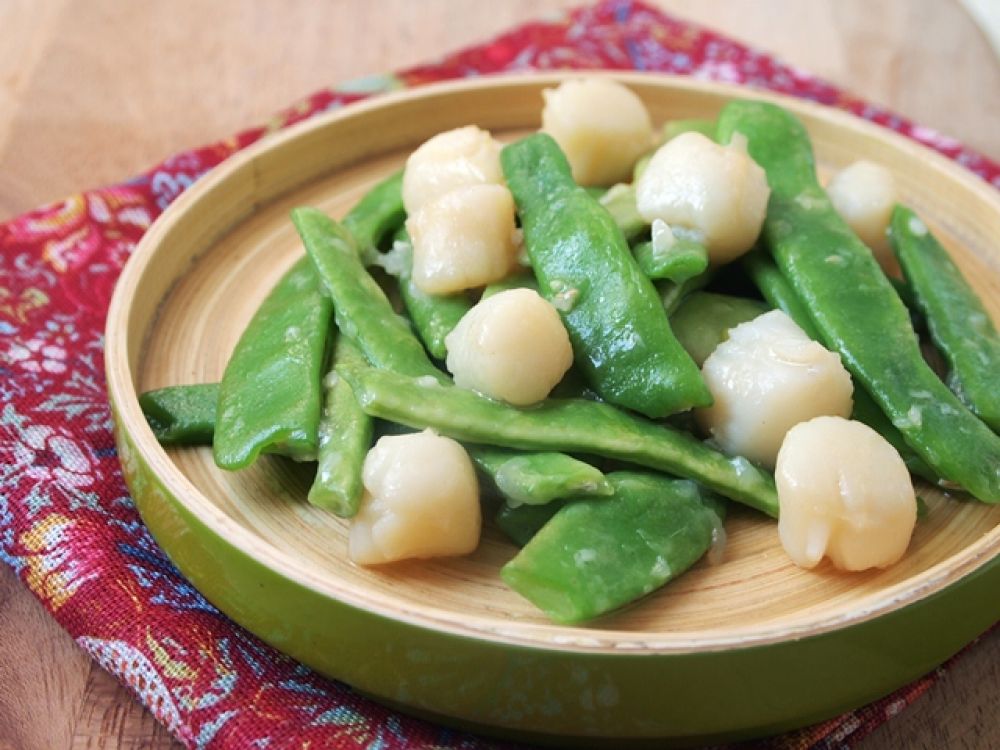 ���ӳ��л�ѩ��������