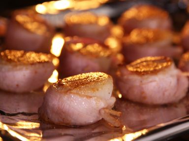 ������Ӿ�������