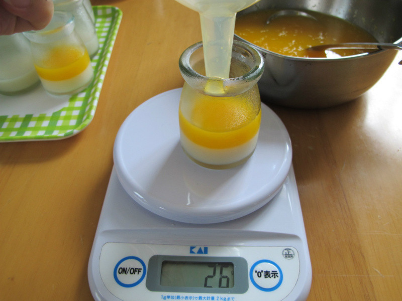 ������?����˫ɫ��֭��������