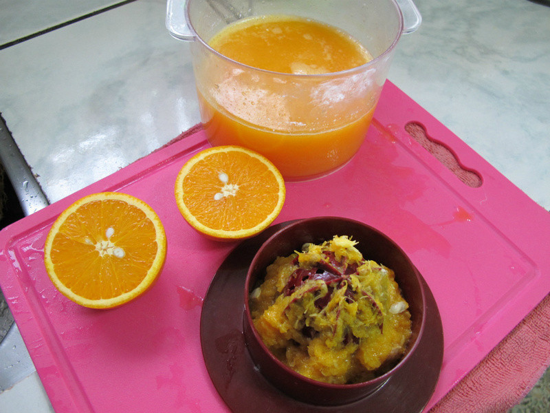 ������?����˫ɫ��֭��������