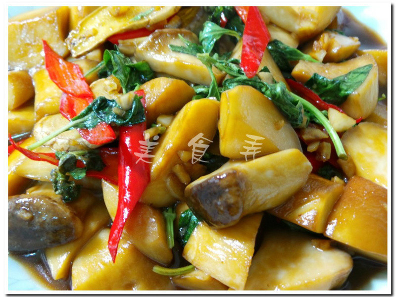 �����Ӱ���������