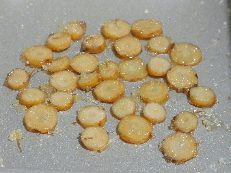 ����ʽ���˲ζ�ɳ���������