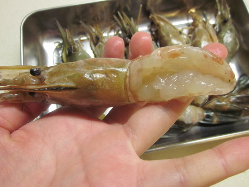 15��������̩ʽ���س���Ϻ��������