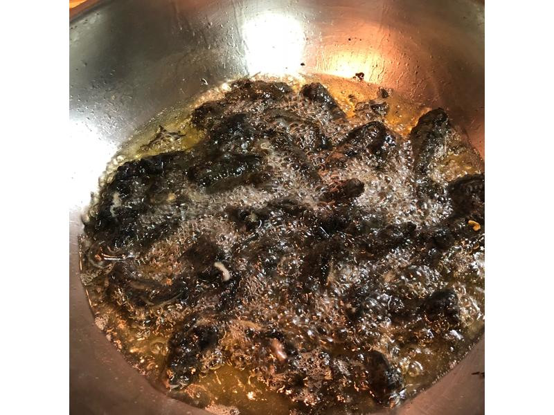 ī֭ըī�������