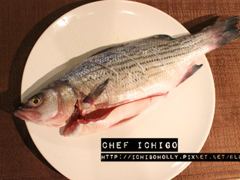 ����̩ʽ�����������