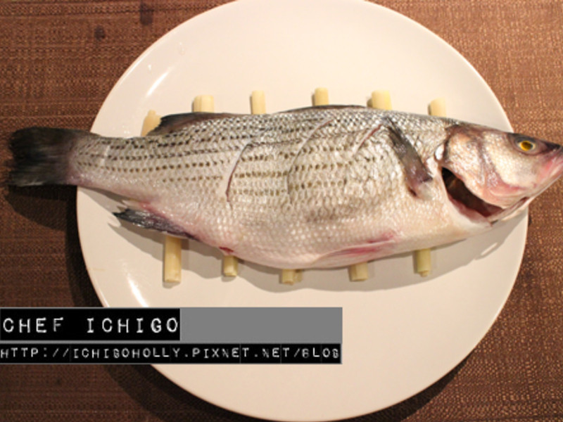 ����̩ʽ�����������