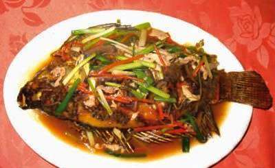 ơ�����������