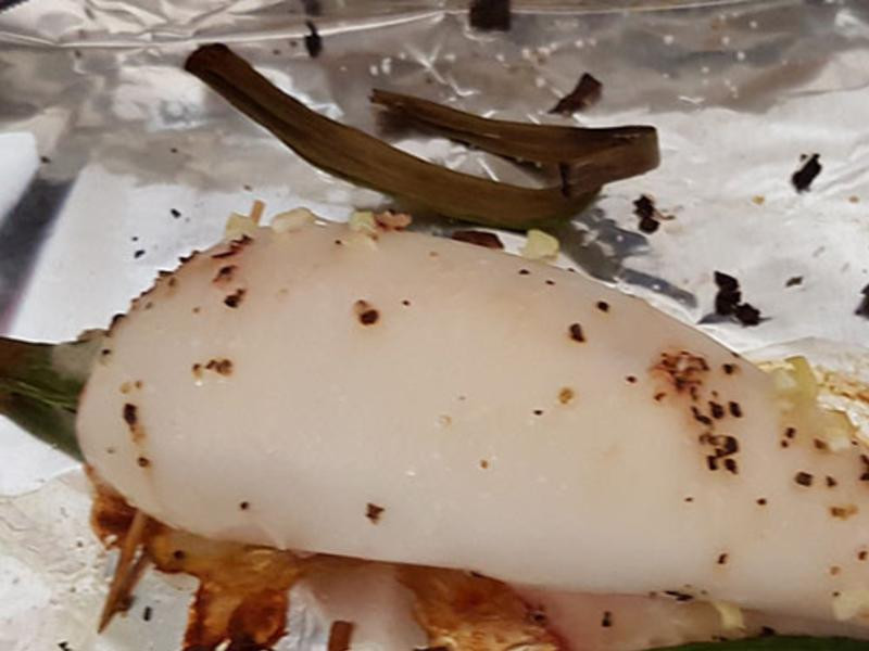 ͸������α��˾������