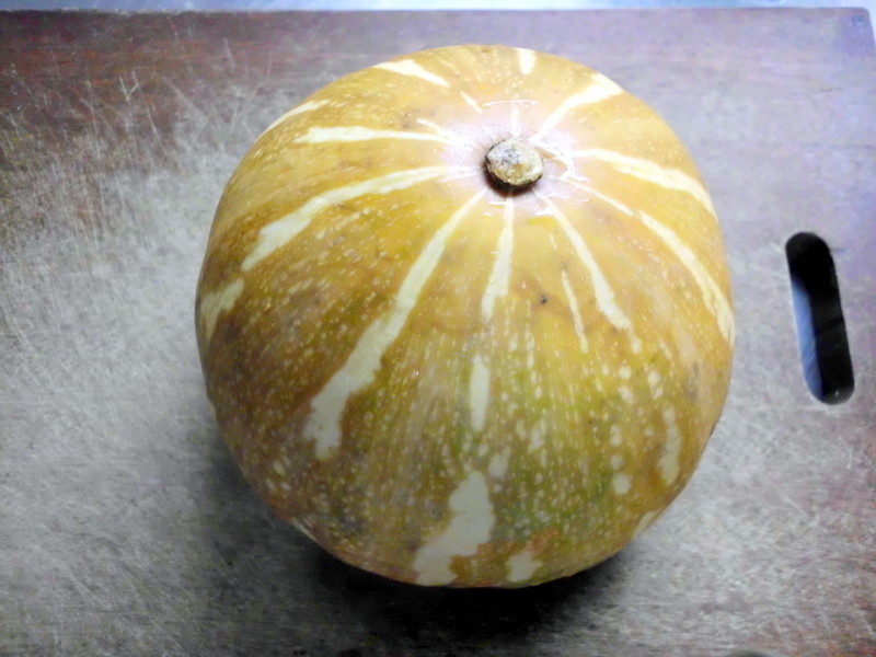 �Ϲϡ�â��������-����ˮ���͵�����