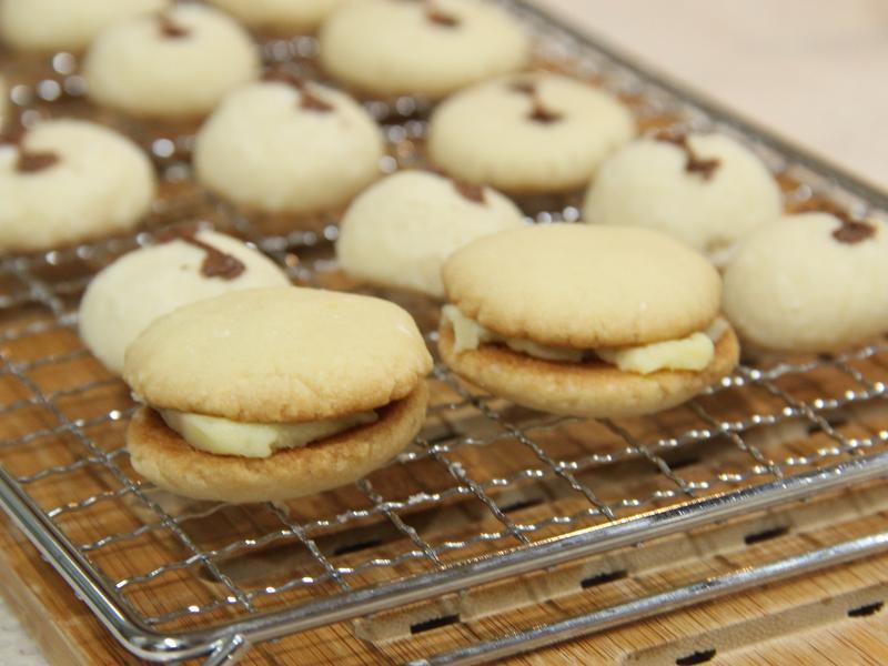 ����ѩ����ɵ�����