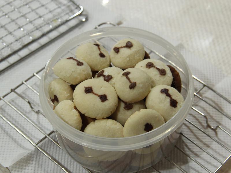 ����ѩ����ɵ�����