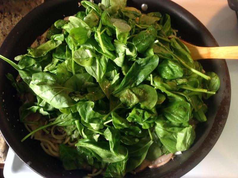 ����Ģ�����������׽��������