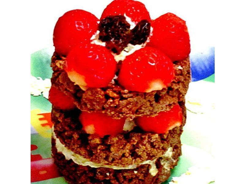 ��ʿ���ɿ�����ݮ���������