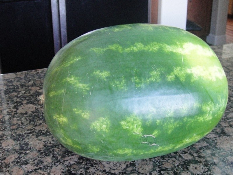 ��������ȫ���������